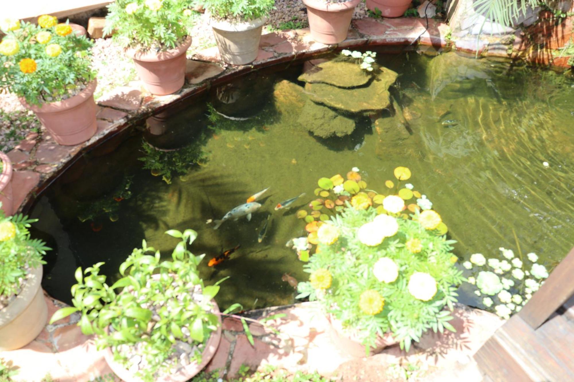 Eco Pousada Jardim Do Eden Alto Paraíso de Goiás エクステリア 写真