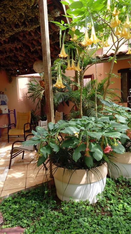 Eco Pousada Jardim Do Eden Alto Paraíso de Goiás エクステリア 写真