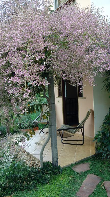 Eco Pousada Jardim Do Eden Alto Paraíso de Goiás エクステリア 写真