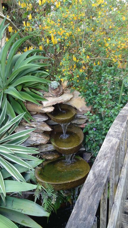 Eco Pousada Jardim Do Eden Alto Paraíso de Goiás エクステリア 写真